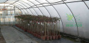 Folia ogrodnicza UV4 8m