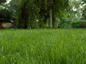 Nawóz granulowany extra zieleń do trawników Sumin 2,5kg