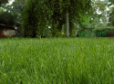 Substral trawa samo zagęszczająca renowacyjna 3kg