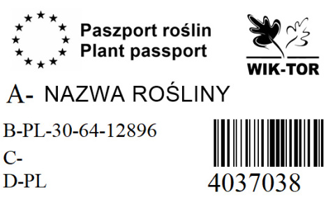 Oczar Diane czerwony Oczar Diane czerwony