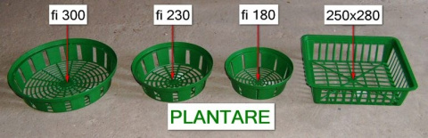 Tulipan Lilac Cup fioletowy 10szt Tulipan Lilac Cup fioletowy 10szt
